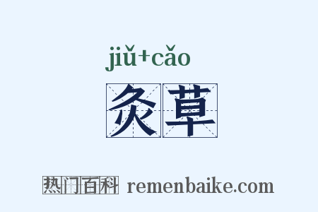 灸草是什么意思的图片
